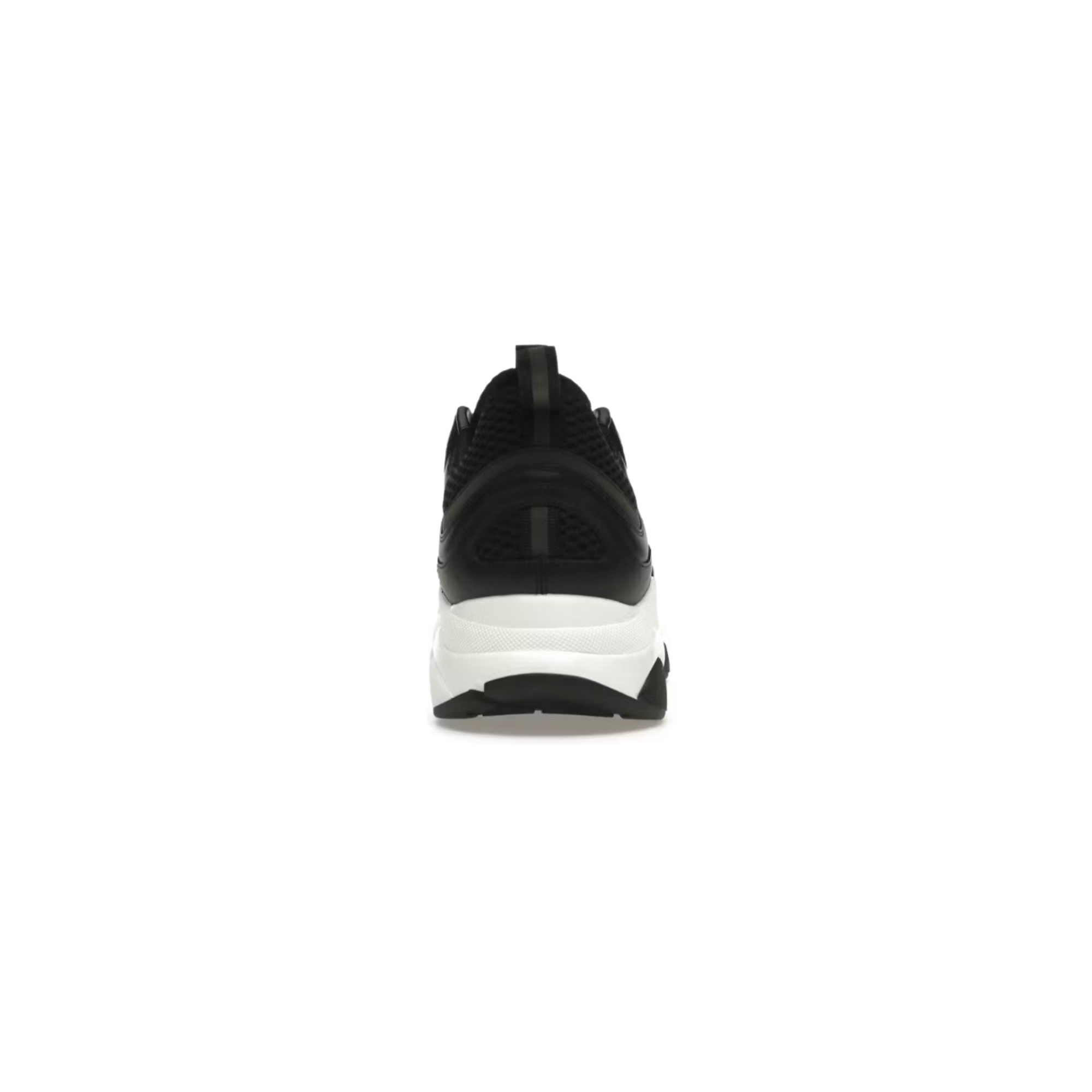 Dior B22 Black & White