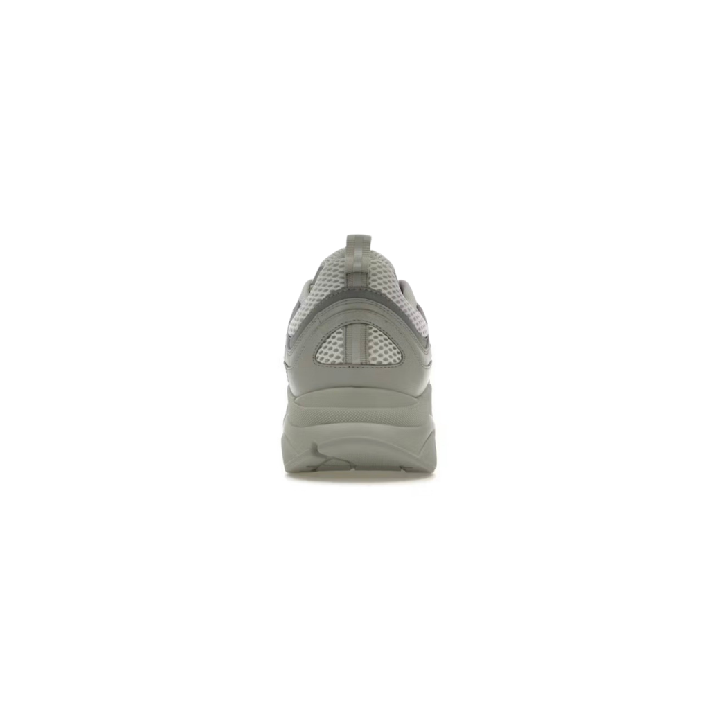 Dior B22 Light Grey & Silver